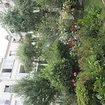 So Cute 55m2 And Quiet With A Courtyard Garden 아파트 파리
